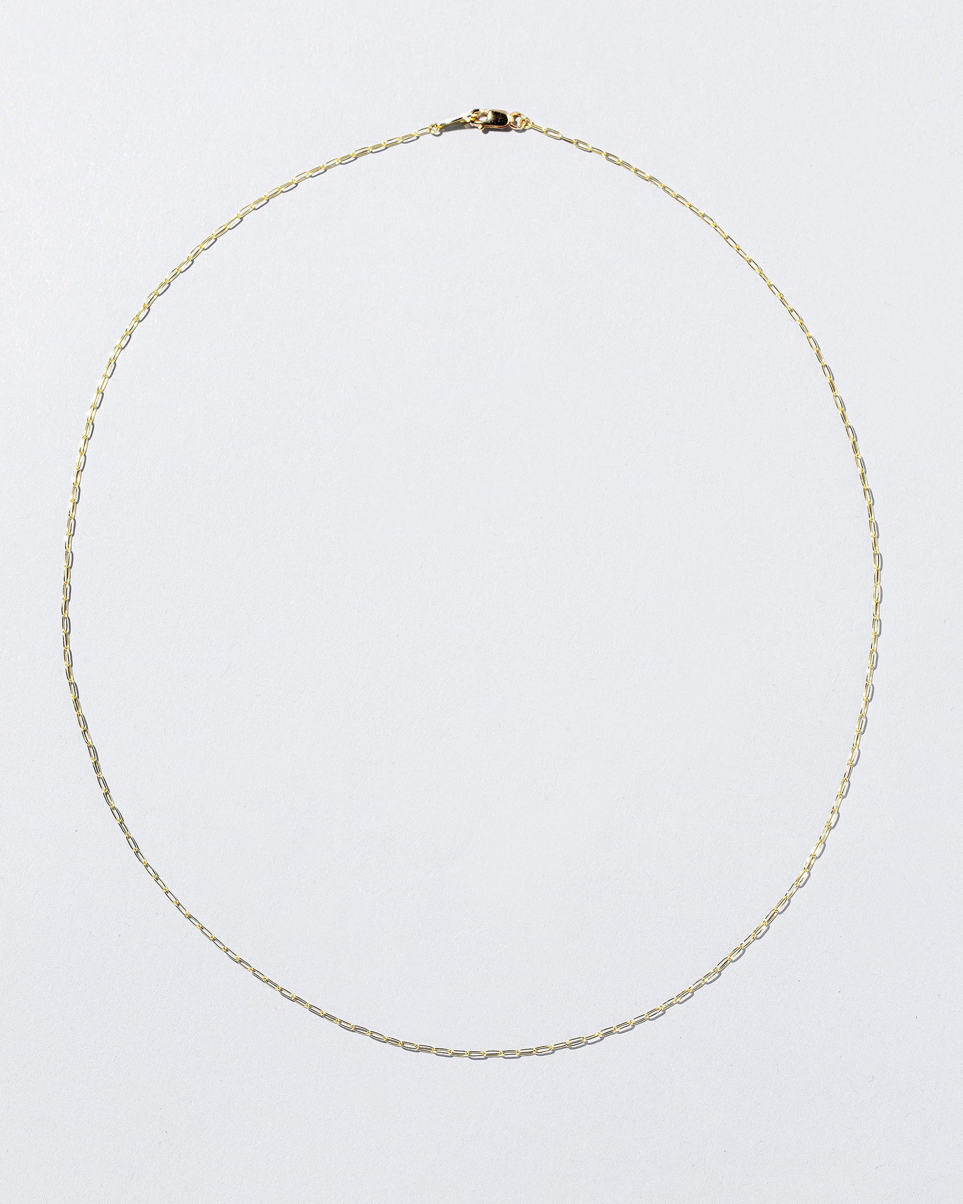 Oval Chain Necklace on light color background.