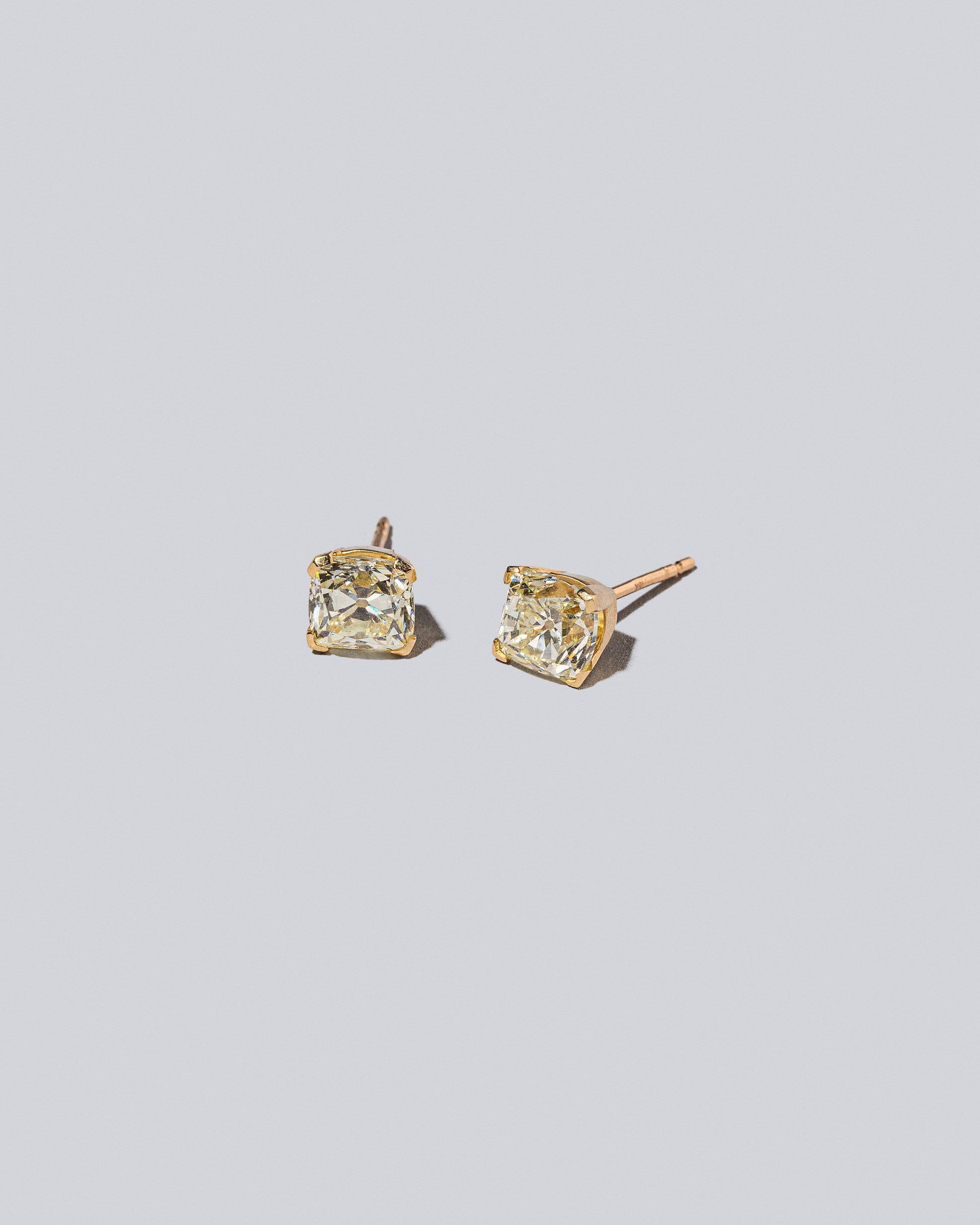 Ardor Earringss on light color background.