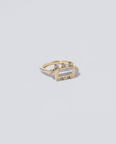 Panorama Ring on light color background.