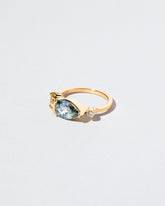 Lightwood Ring on light color background.