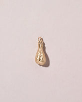Chicken Drumstick Charm on light color background.