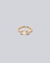 Grouper Ring on light color background.