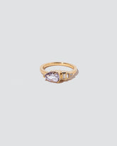 Fixation Ring on light color background.