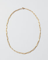 Long Oval Chain Necklace on light color background.