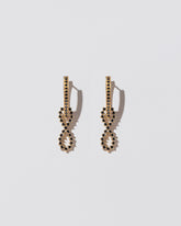 Black Diamond Lifecycle Earrings on light color background.