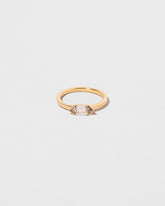 Ergodic Ring on light color background.