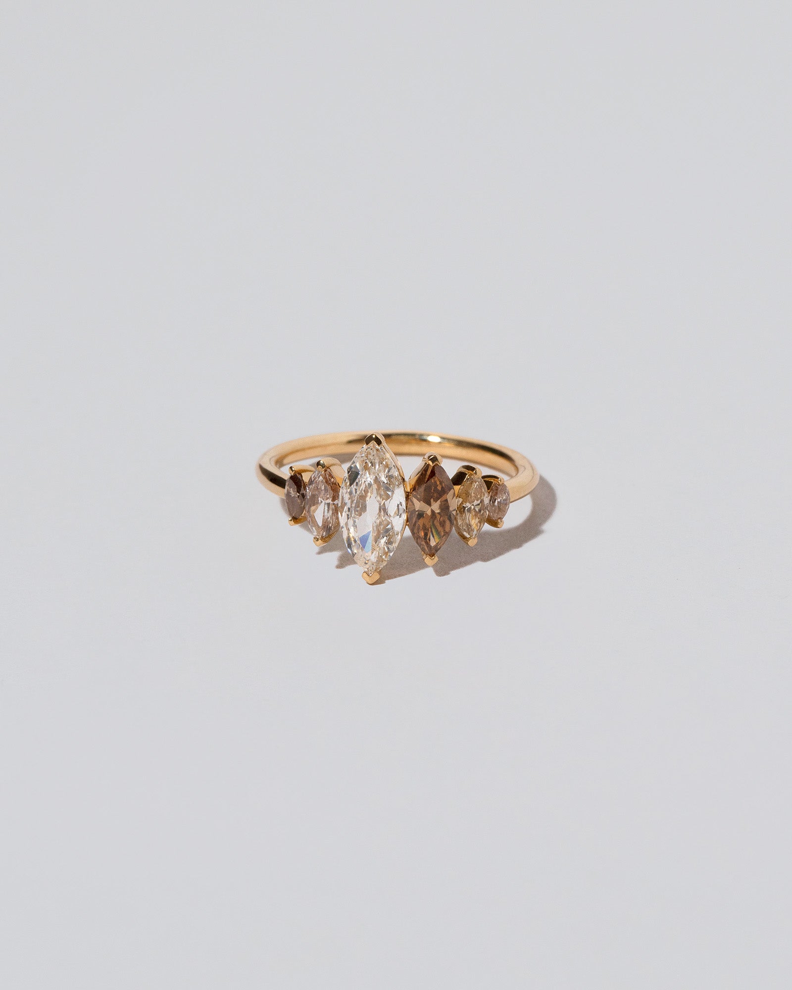 Hydnum Ring on light color background.