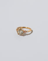 Vega Ring - Champagne Diamond on light colored background.