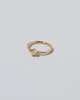 Compass Rose Ring on light colored background.