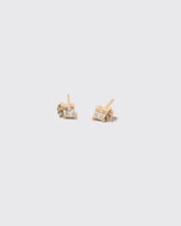 Reciprocating Earrings on light color background.