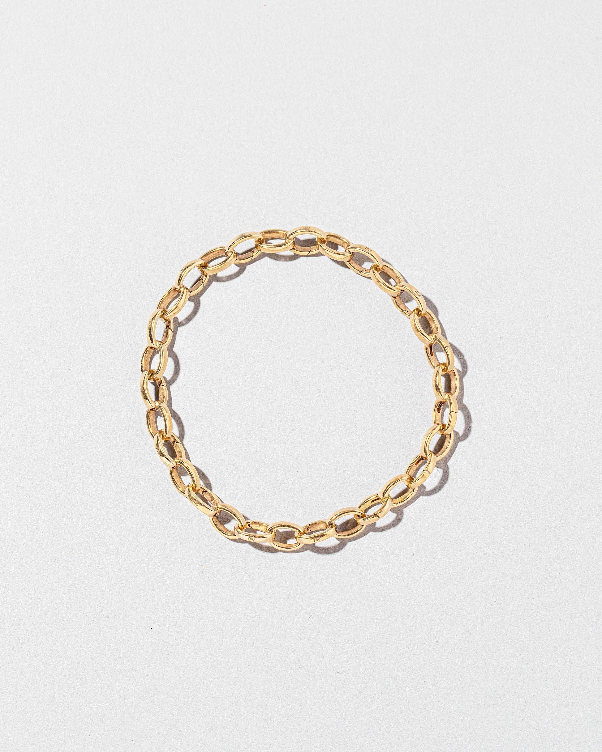  Endless Clasp Bracelet on light color background.