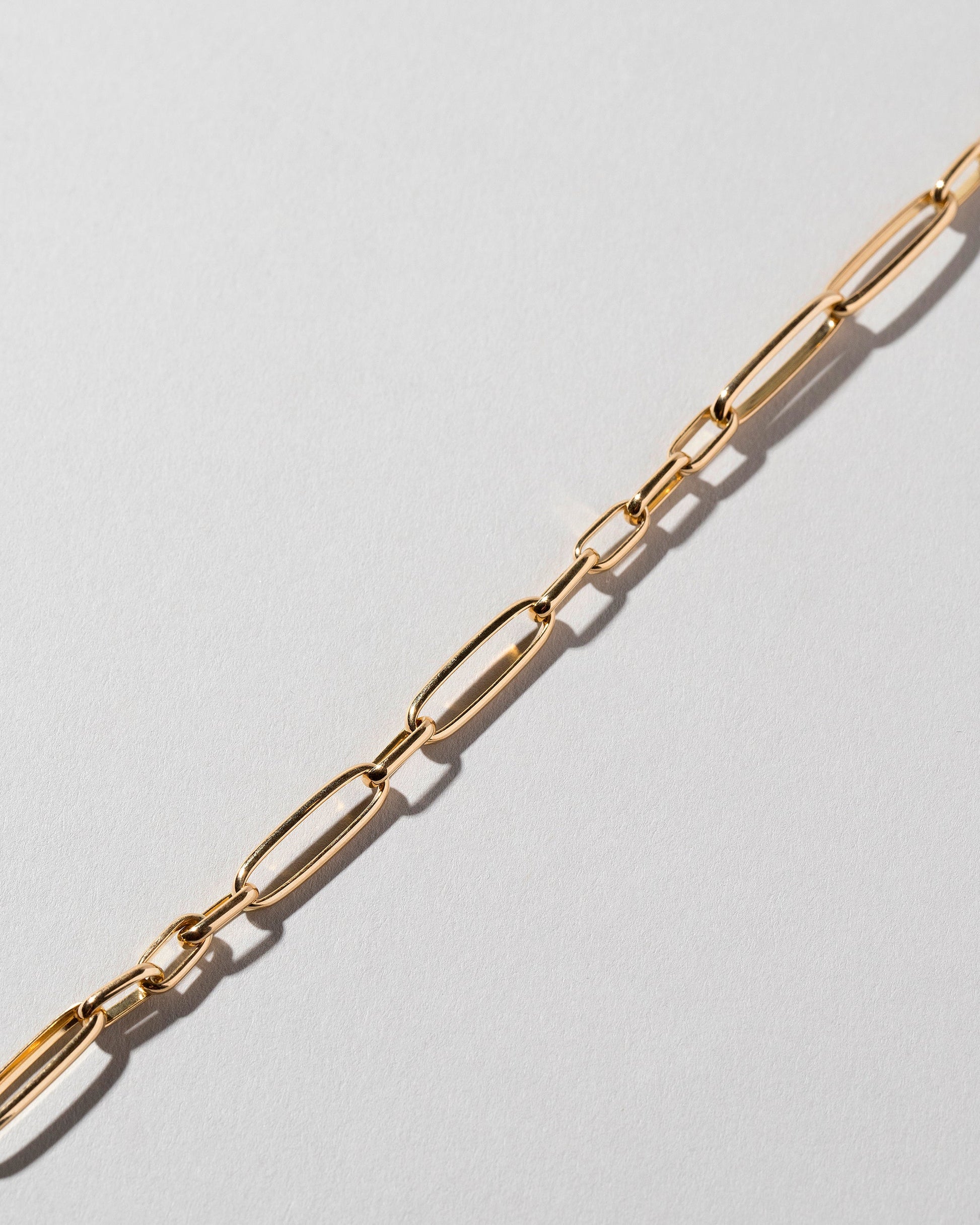 Long Loop Chain Necklace on light color background.