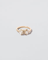 Alchemy Ring on light color background.