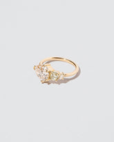 Animism Ring on light color background.