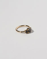 Orion Ring - Black Diamond on light color background.