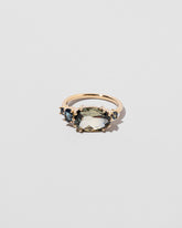 Autumnal Ring on light color background.