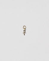 Ankh Charm on light color background.