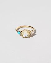 Howe Ring on light color background.