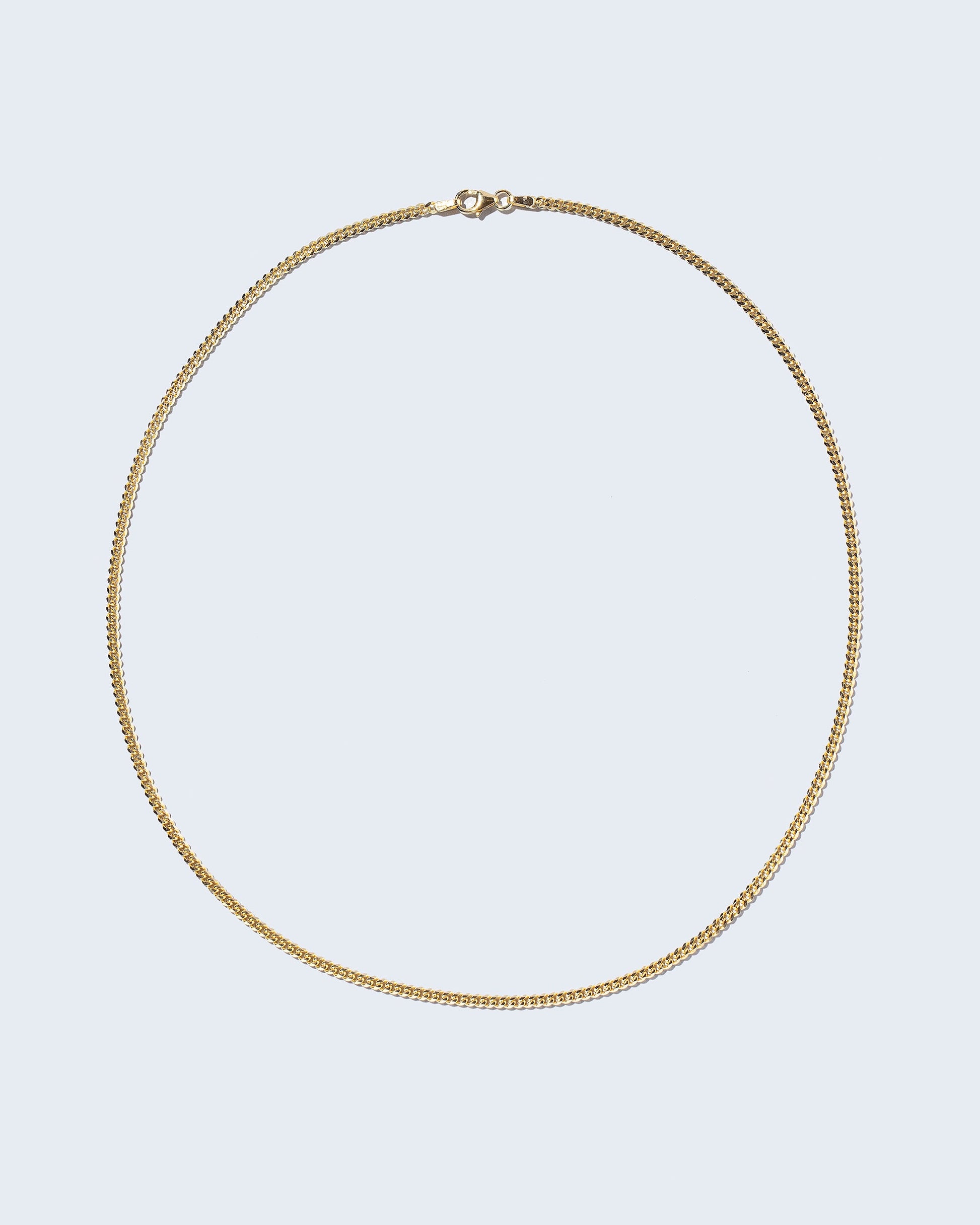 Curb Chain Necklace on light color background.
