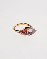 Dianthus Ring on light color background.