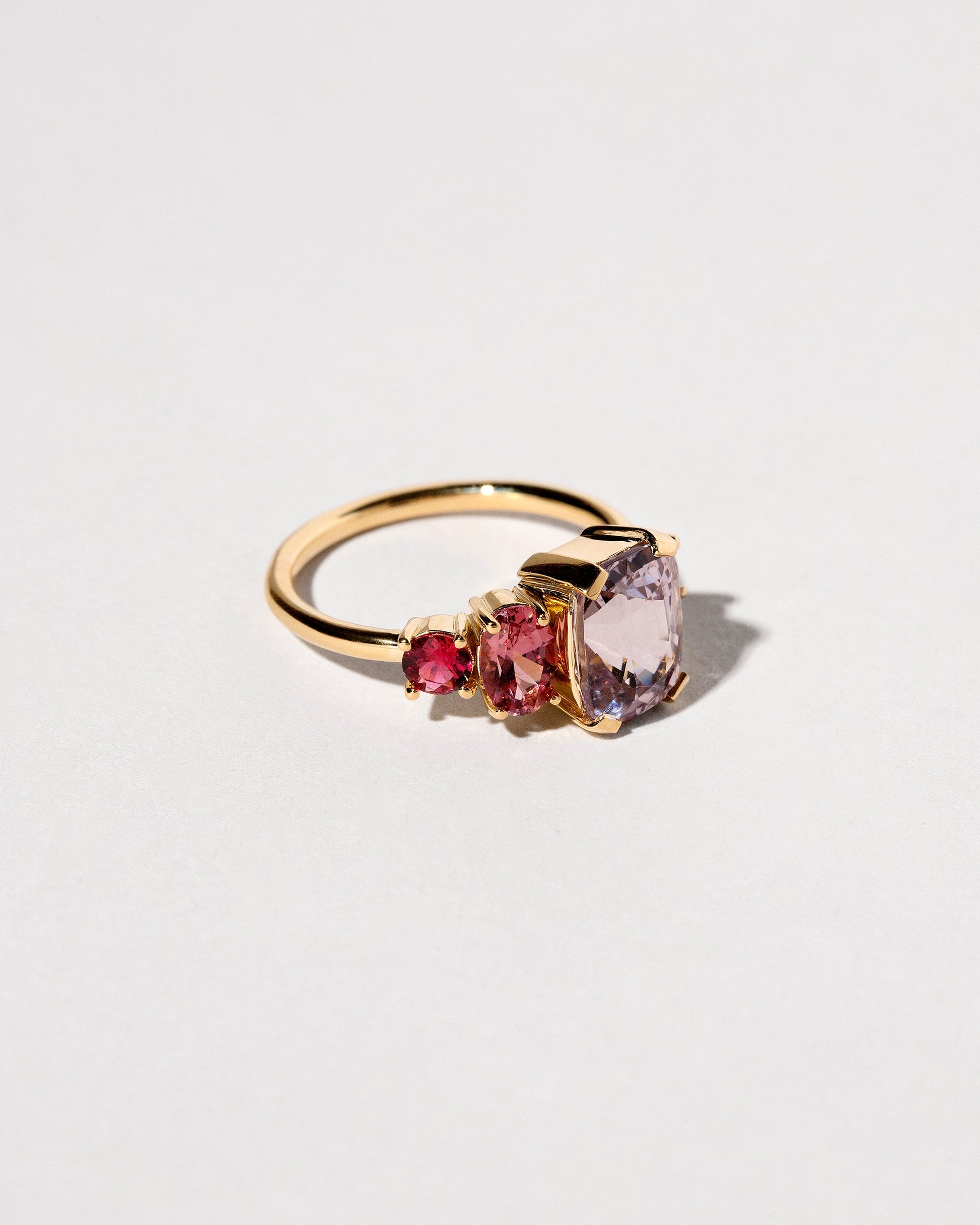 Dianthus Ring on light color background.