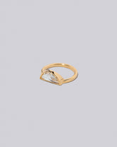View from the side of the Tenor Ring on light color background.