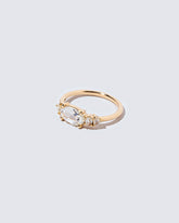 Rosarian Ring on light color background.