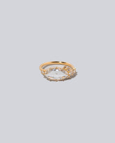 Tend Rings on light color background.
