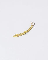 Asparagus Charm on light color background.
