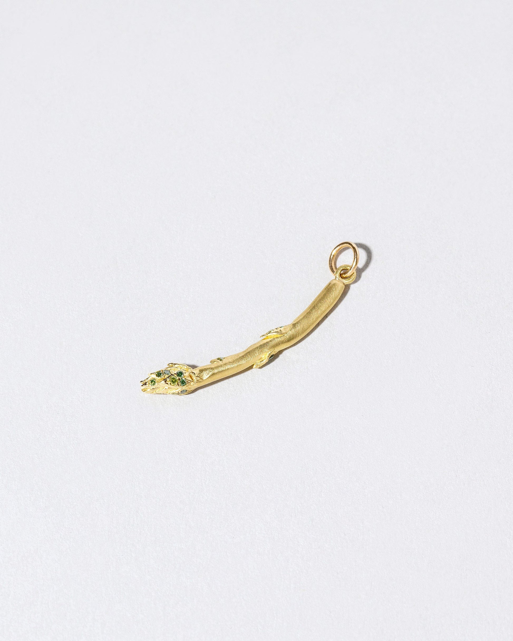 Asparagus Charm on light color background.