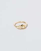 Visible Light Ring on light color background.