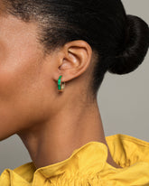 Segmented Hoops on model.