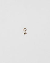 Talisman Charm