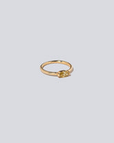 View from the side of the Devant Ring on light color background.