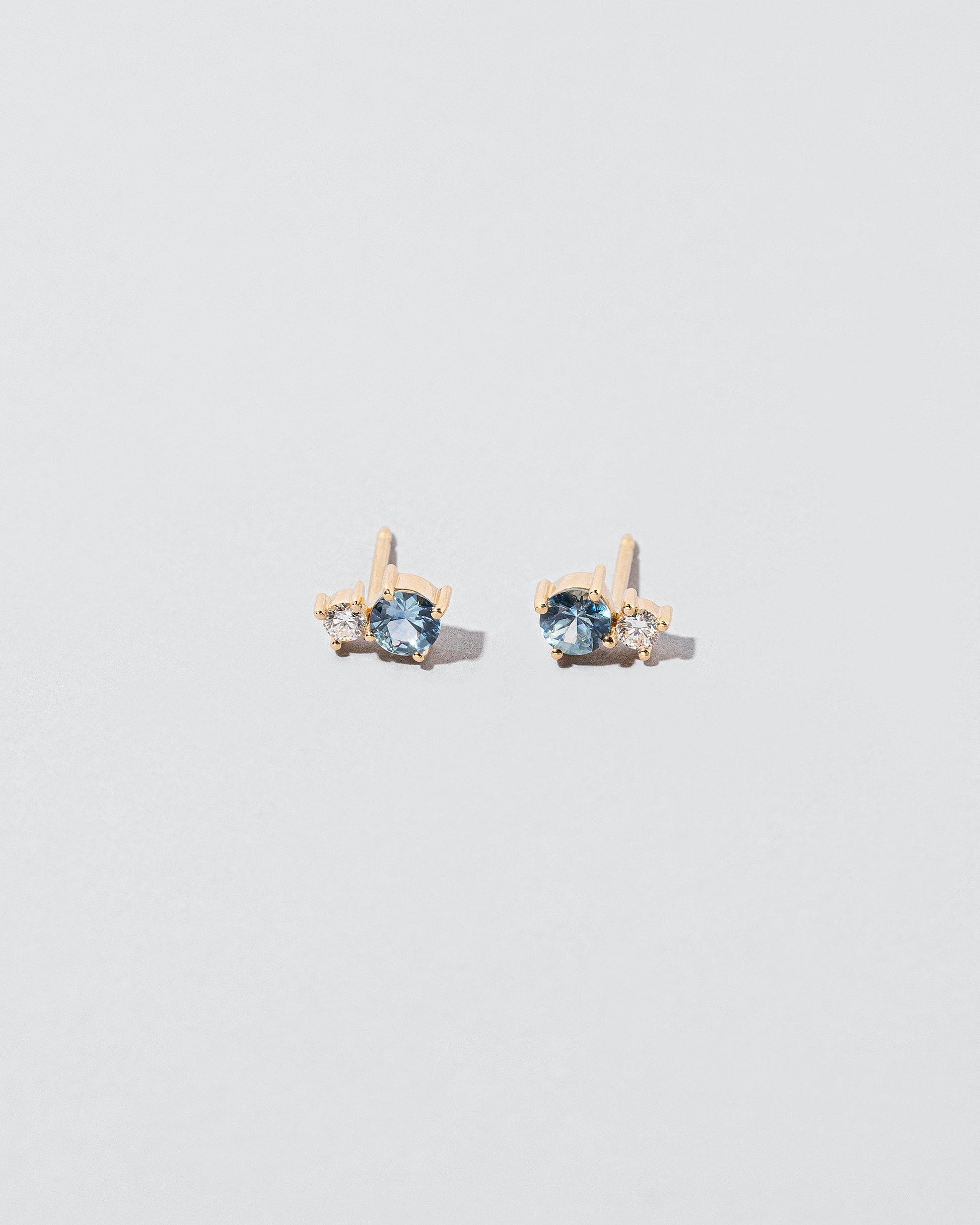 Aster Earrings on light color background.