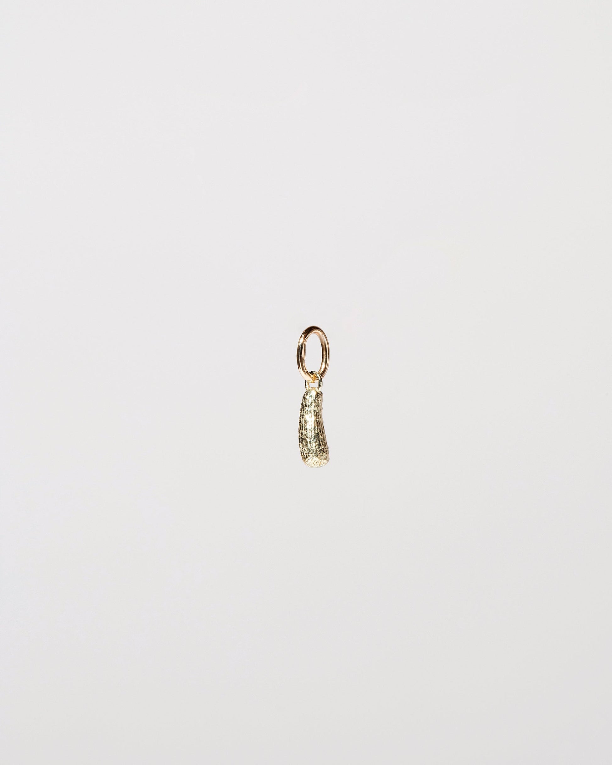 Pickle Charm on light color background.