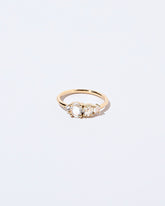 Garden Ring on light color background.