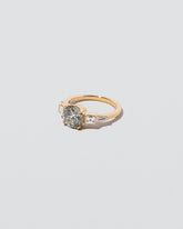 Fisher Ring on light color background.