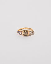 Probus Ring on light color background.