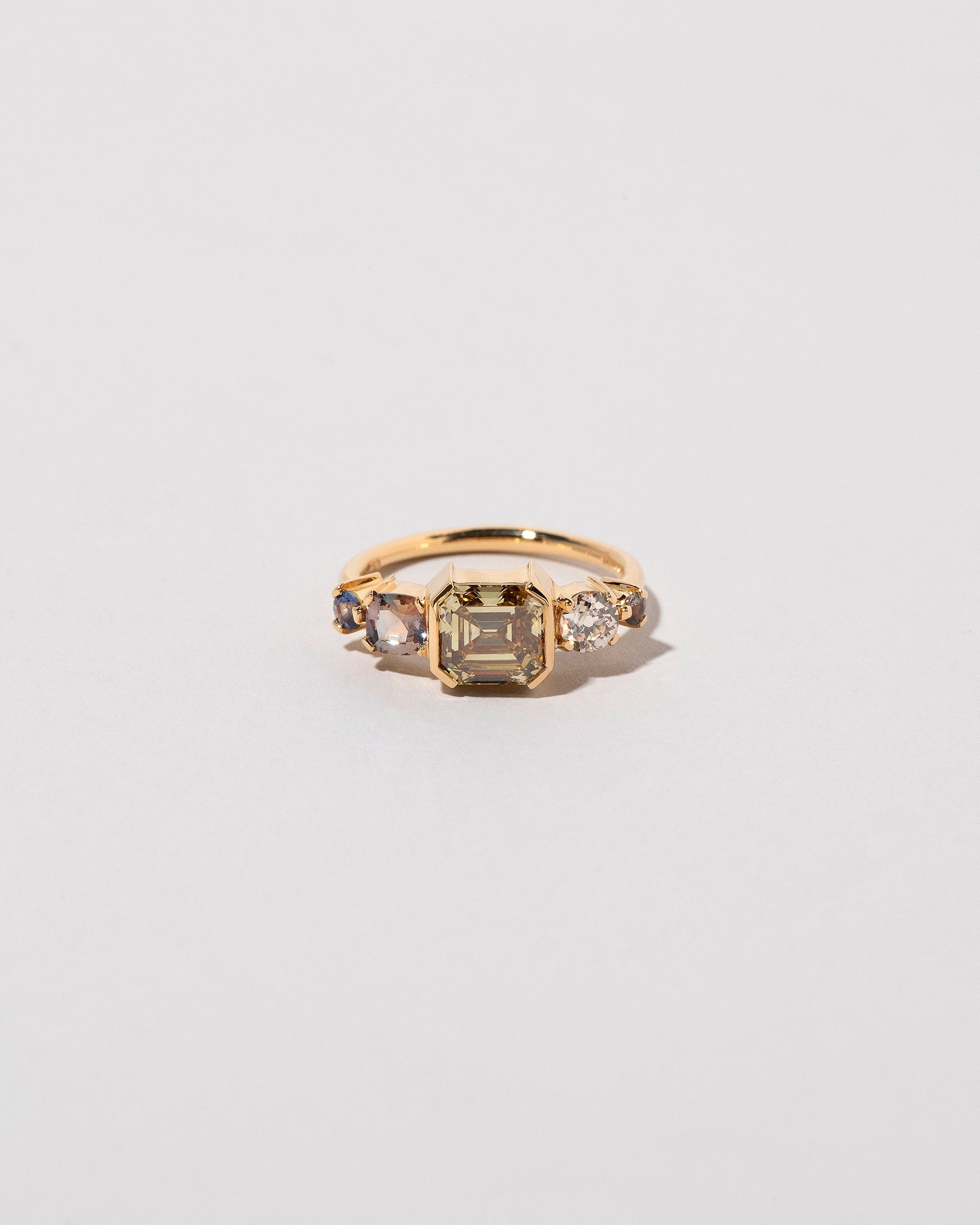 Probus Ring on light color background.