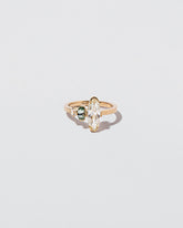 Parks Ring on light color background.