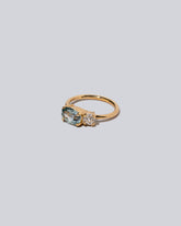 Product photo of Lupine Ring on a light color background