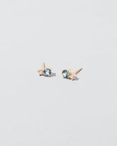 Aster Earrings on light color background.
