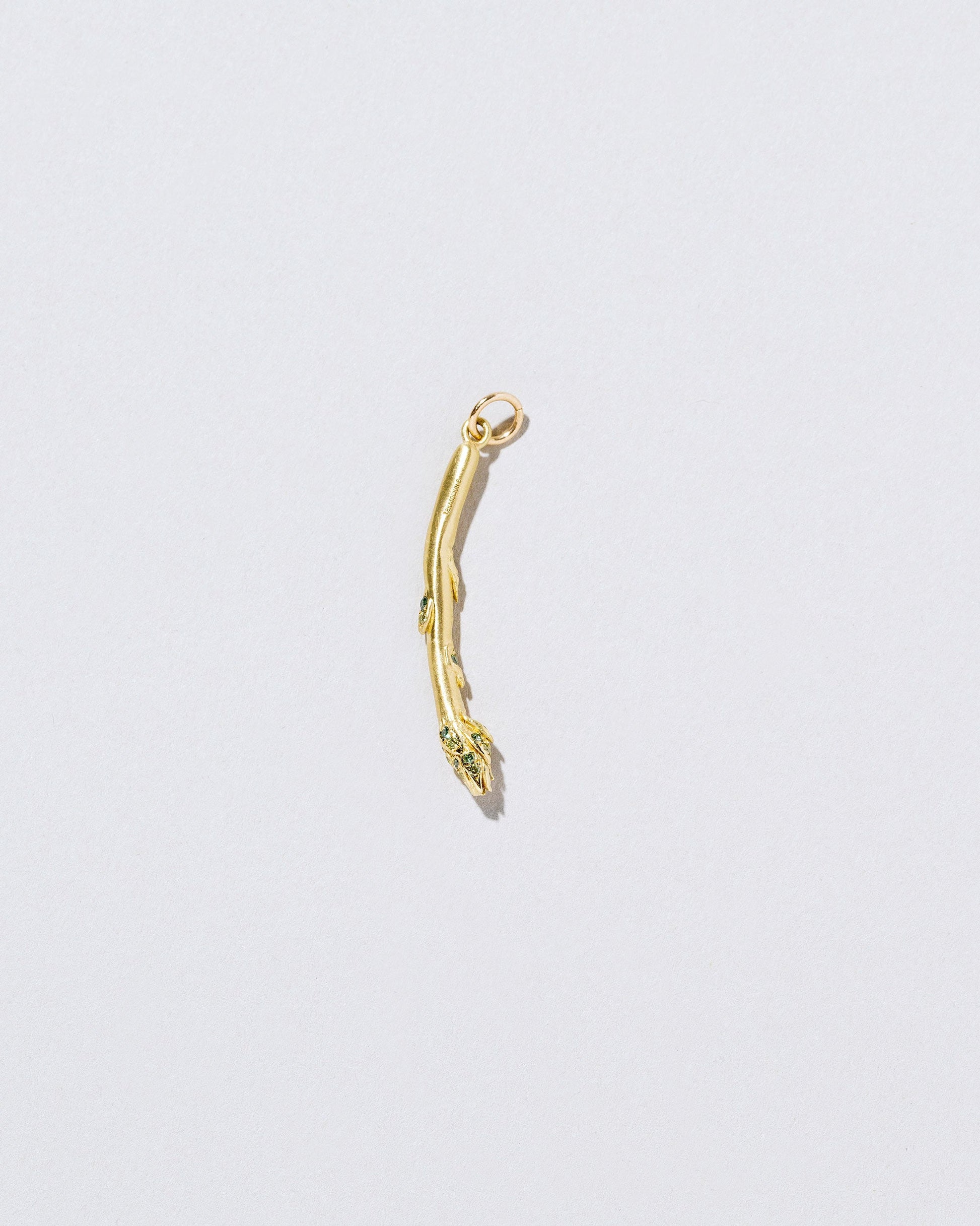 Asparagus Charm on light color background.