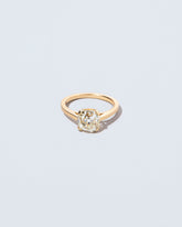 Ichor Ring on light color background.