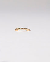  Mini Curve Band - Single Stone on light color background.