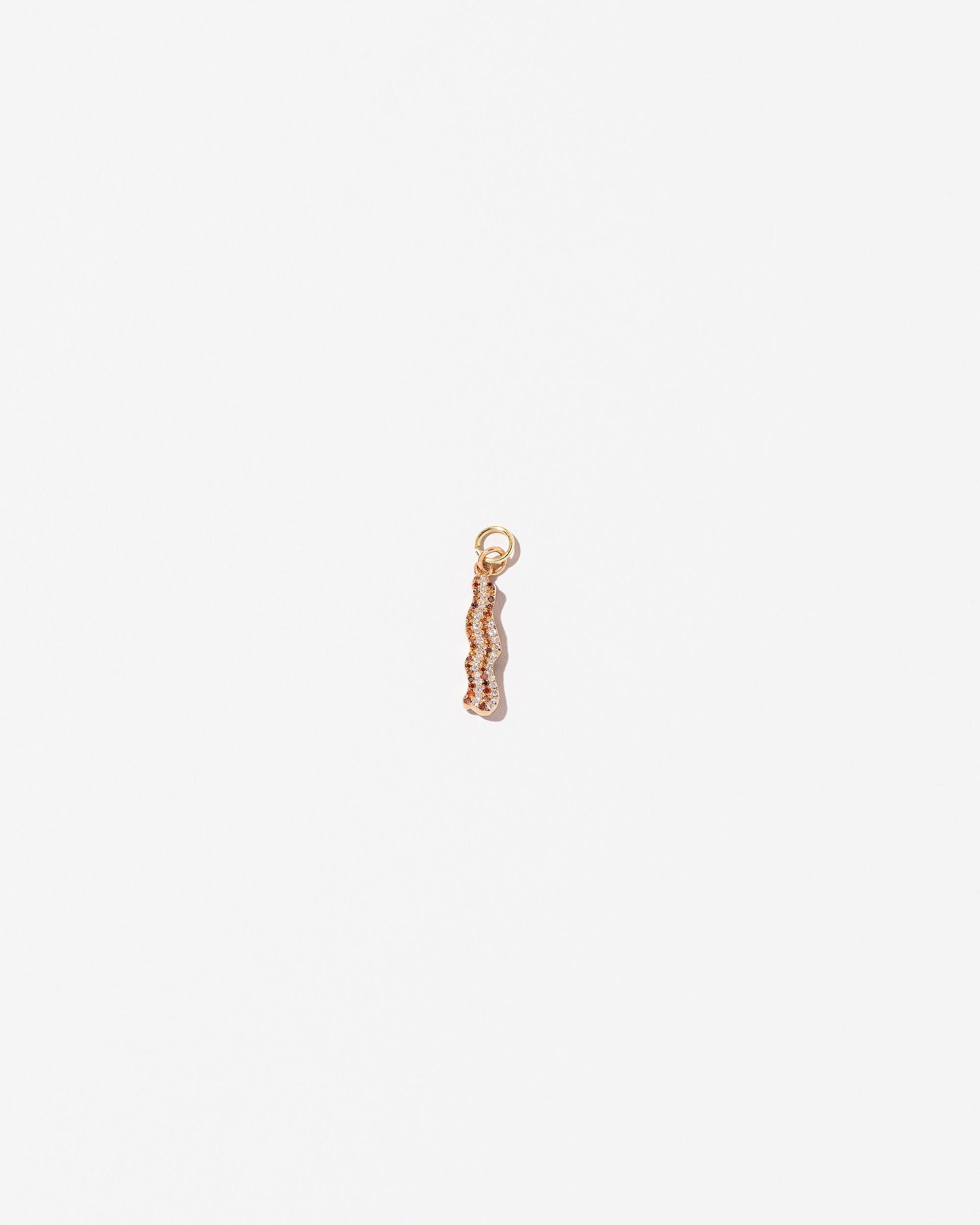 Bacon Charm on light color background.
