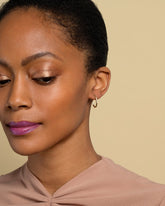 Thin Segmented Hoops on model.