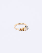 Occam's Ring on light color background.