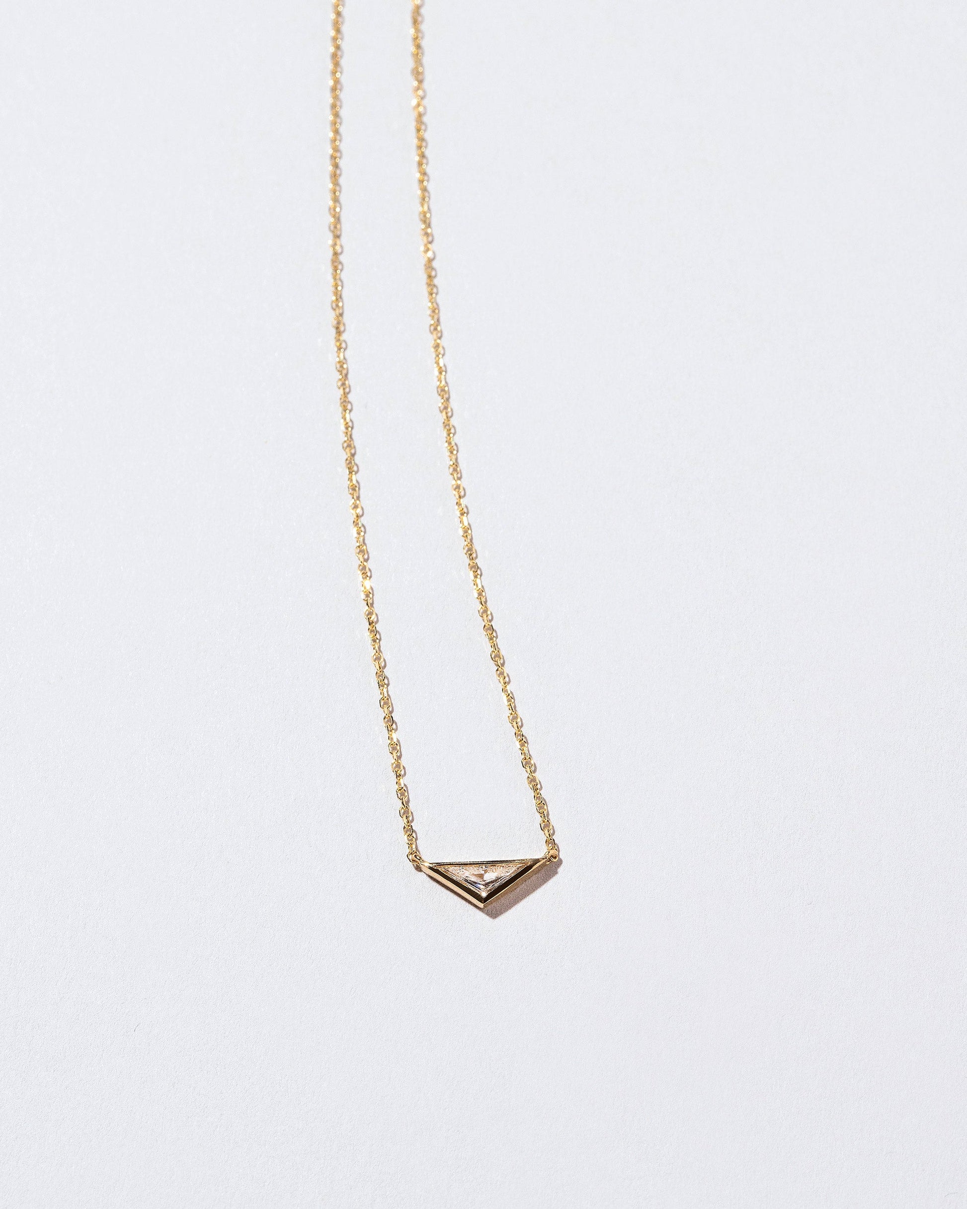 Lucky Necklace on light color background.